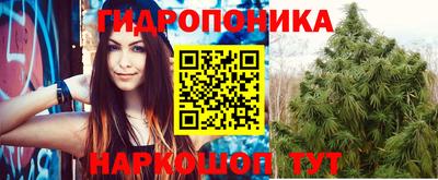 mdpv Партизанск