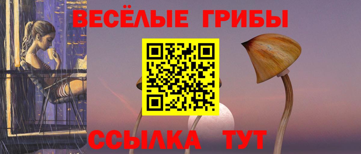 Галлюциногенные грибы Cubensis Петрозаводск